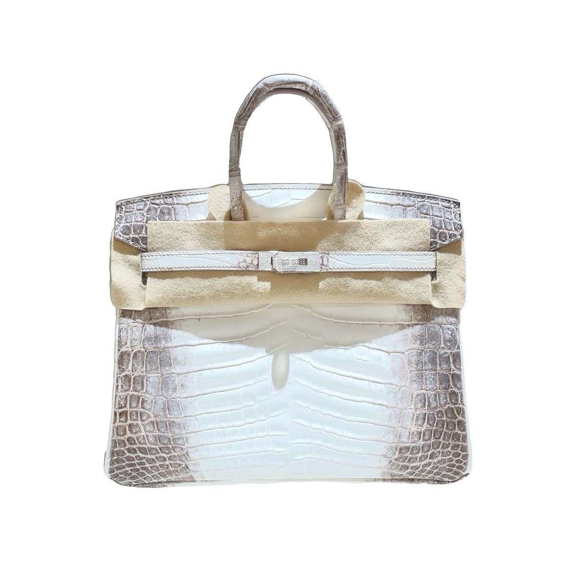 Diamond studded himalayan birkin 2025
