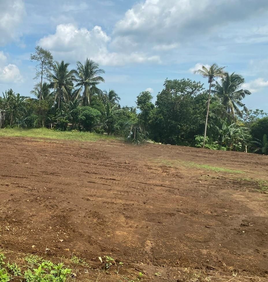 Lot for Sale at Liliw Laguna idea for farming and retirement place