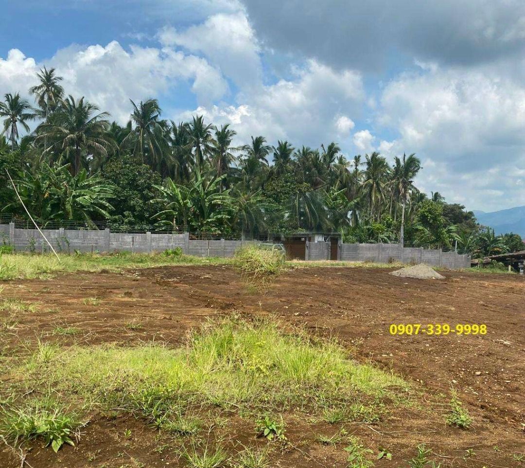 Lot for Sale at Liliw Laguna idea for farming and retirement place
