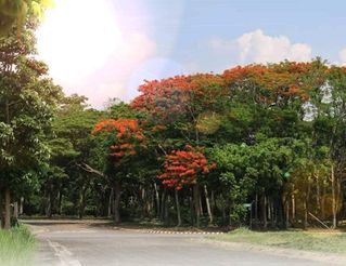 Manila Southwoods Residential Lot For Sale Phase 3 Near The Manila Southwoods Golf & Country Club