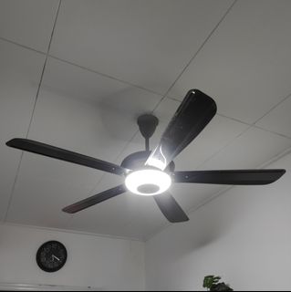 (Category: ) located in . Submitted by zerowan101 (Listing ID 1267959729, Image 1). Description: .