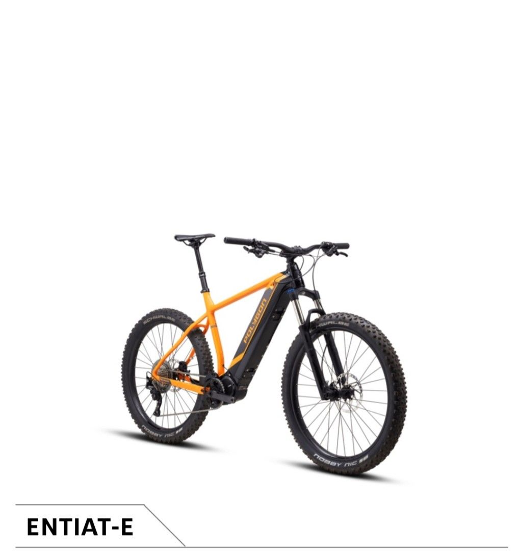 Polygon entiat e pedelec review sales