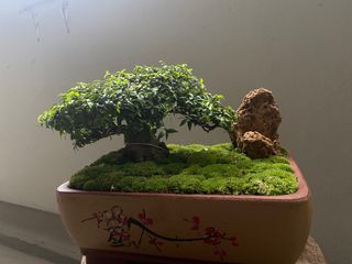 (Category: ) located in . Submitted by alexchoo2004 (Listing ID 1268020270, Image 1). Description: .