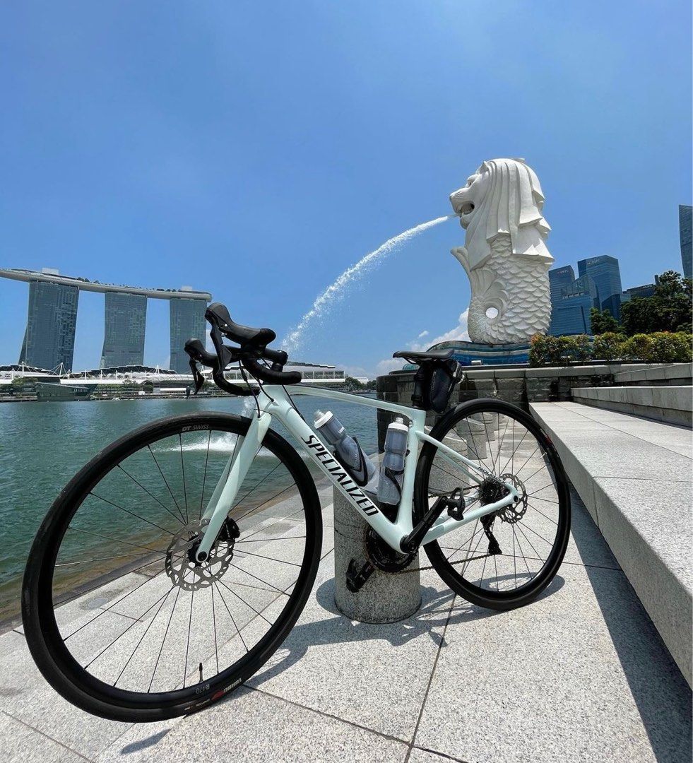 Roubaix specialized new arrivals 2020