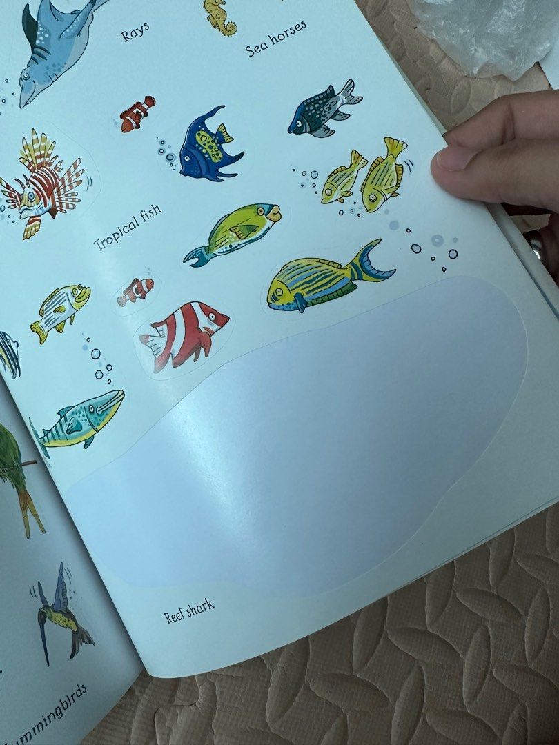 Uncounted Sticker Usborne Zoo Sticker and Colouring Book (Uncounted), Hobbies & Toys ...
