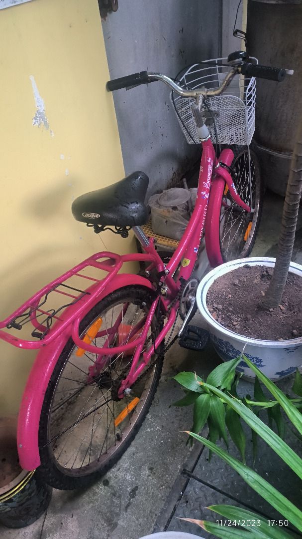 Used womens bikes for new arrivals sale