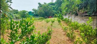 1500 sqm Residential farm lot in Sta. Maria, Bulacan