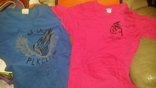 屯門保良局李兆忠百周年紀念中學2014-2015年紀念T Shirt 兩件，Form4A-6A, size L，只順丰