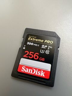256GB SanDisk Extreme pro 300MB/sec