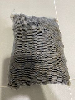 （分類：）位於 。 由 trevorho 提交（商品編號 1268196216，圖片 1）。簡介： 。