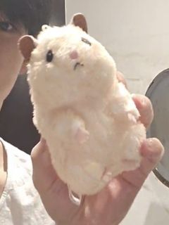 （分類：）位於 。 由 kch.426 提交（商品編號 1268296200，圖片 1）。簡介： 。