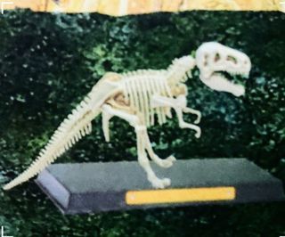 帳號內物品可併單限時大特價   Jurassic侏羅紀dinosaur fossil暴龍恐龍考古學家化石遊戲19*14cm公分小學生兒童玩具石膏及塑膠材質