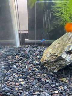 (Category: ) located in . Submitted by tommyjy (Listing ID 1268188644, Image 1). Description: .