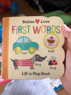 Baby books bundle: Babies Love First Words Lift a flap,and 3 Baby Einstein small borad books