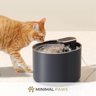 (Category: ) located in . Submitted by minimalpaws (Listing ID 1268184663, Image 1). Description: .