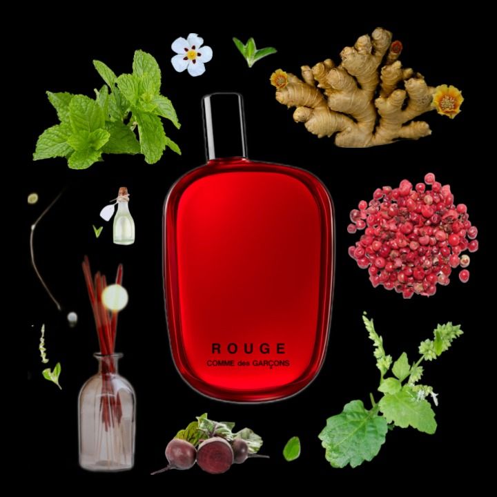Comme des Garcons Rouge Unisex EDP Perfume Minyak Wangi by