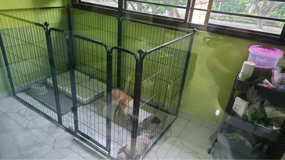 Dog play pen, Pet Supplies, Homes & Other Pet Accessories on Carousell