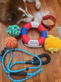 Aplus+ dog repellent hot sale