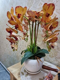 (Category: ) located in . Submitted by farrahani (Listing ID 1268276990, Image 1). Description: .