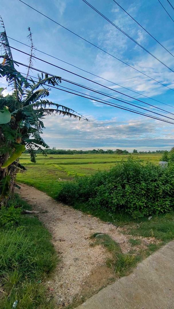 LOT FOR SALE ,BANI PANGASINAN ALONG THE HIGHWAY, Property, For Sale