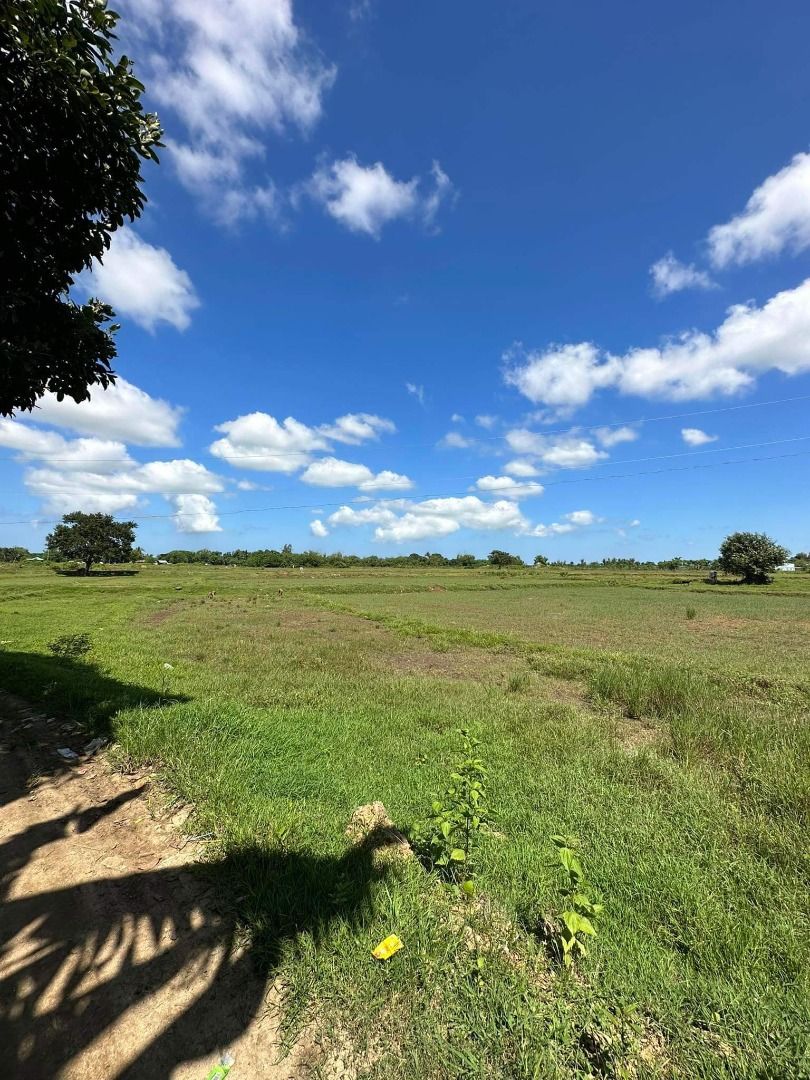 LOT FOR SALE ,BANI PANGASINAN ALONG THE HIGHWAY, Property, For Sale