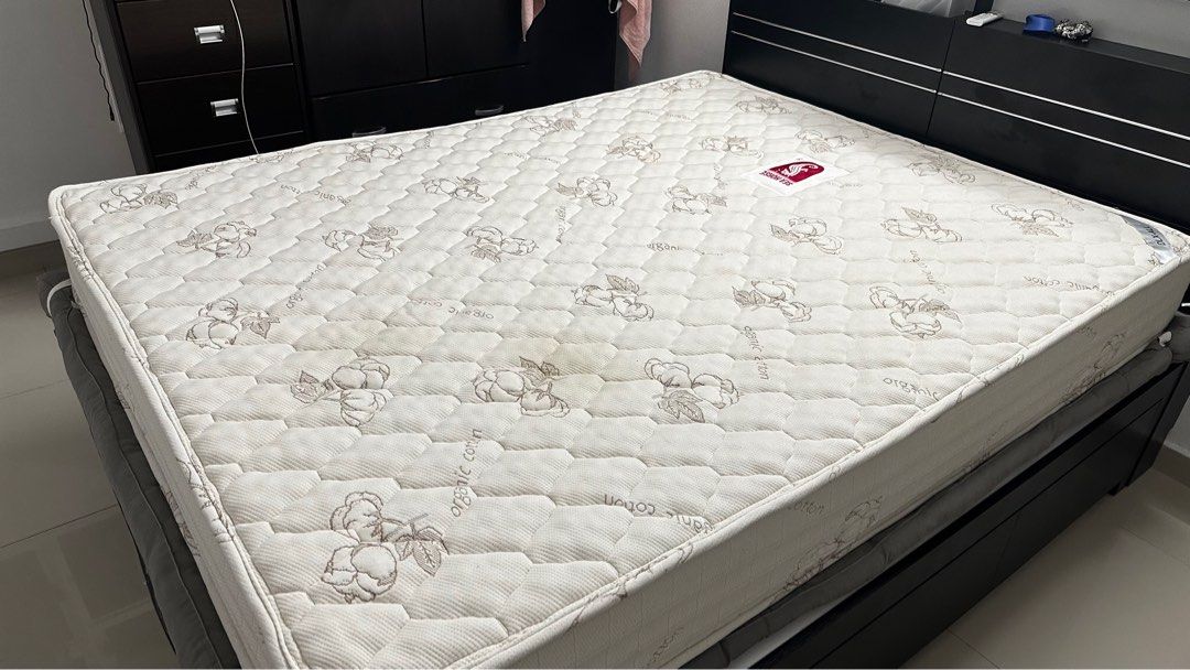 Seahorse mattress outlet queen size