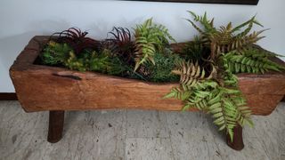 (Category: ) located in . Submitted by recycle.begonia (Listing ID 1268188919, Image 1). Description: .