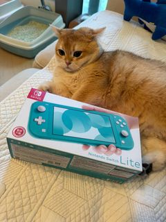 （分類：）位於 。 由 woofiee 提交（商品編號 1268188686，圖片 1）。簡介： 。