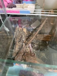 (Category: ) located in . Submitted by kat2theleen (Listing ID 1268283794, Image 1). Description: .