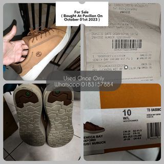 Timberland Sneakers