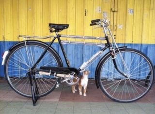 Basikal tua price cheap
