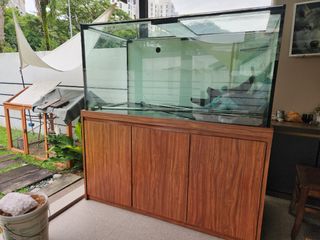 (Category: ) located in . Submitted by earthtrails (Listing ID 1268362045, Image 1). Description: .