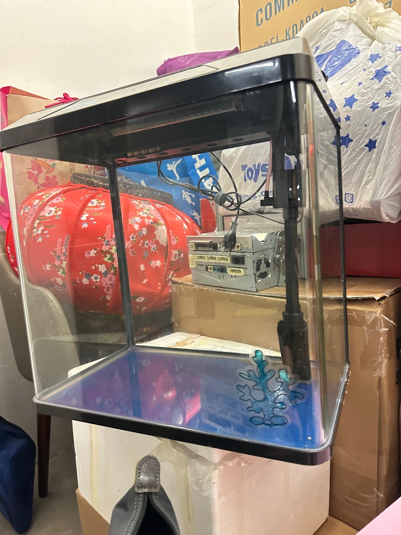 Aquarium for small fishes, Pet Supplies, Homes & Other Pet Accessories