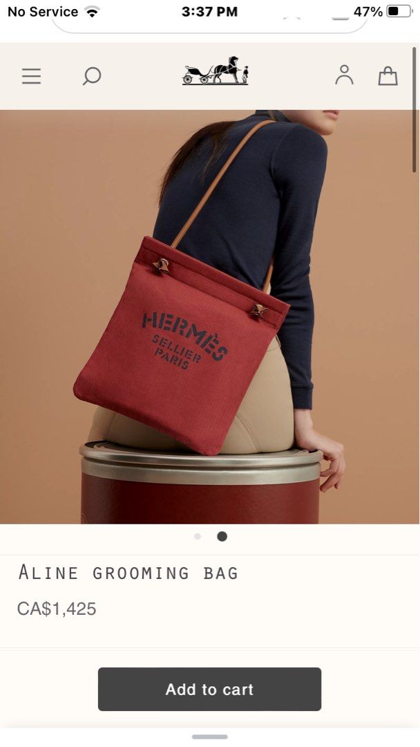 aline grooming bag