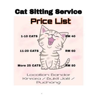 Cat Sitting Service