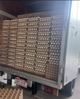 Farm Eggs