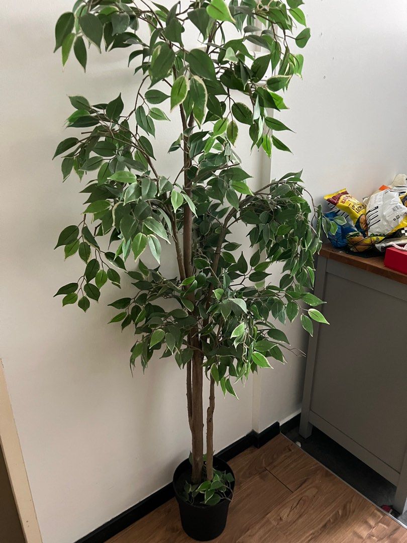 Fejka IKEA artificial plant weeping fig, Furniture & Home Living, Home