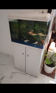 (Category: ) located in . Submitted by rr_luxury (Listing ID 1268365125, Image 1). Description: .