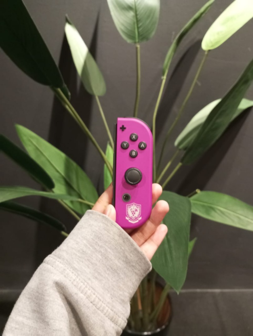 JOYCON STUCK WITH STRAP FIXED, Video Gaming, Gaming Accessories