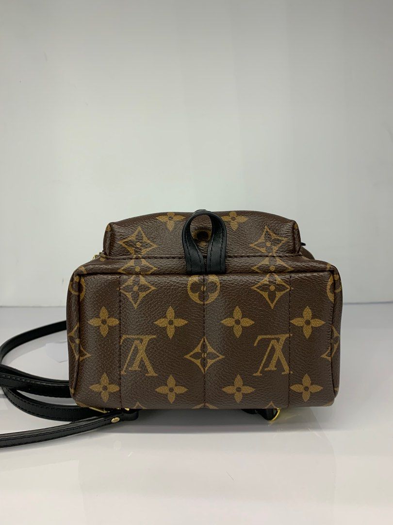 Louis Vuitton LV Mini Palm Spring Backpack