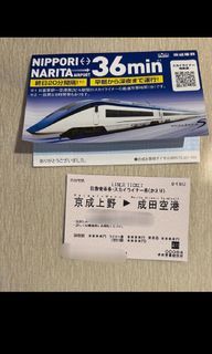 Narita express tokyo downtown to airport x2