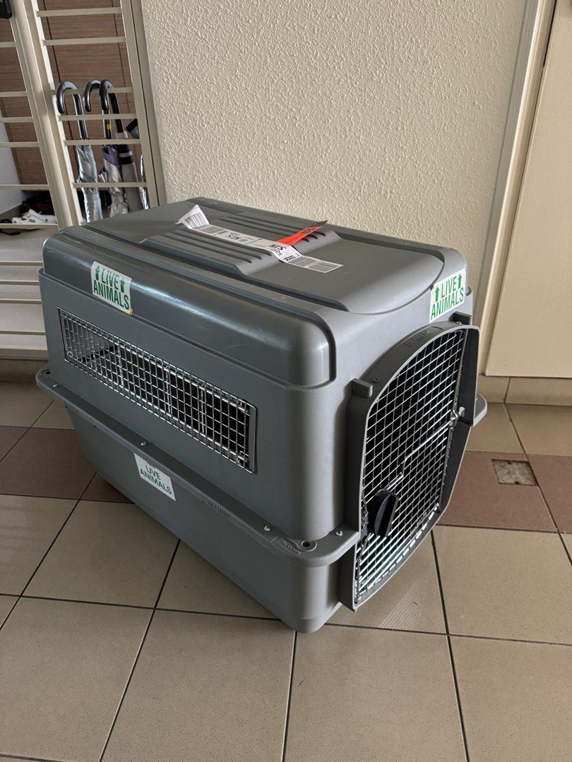 Petmate Series 400 Pet Carrier (Large), Pet Supplies, Homes & Other Pet ...