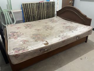 Olx cot bed store