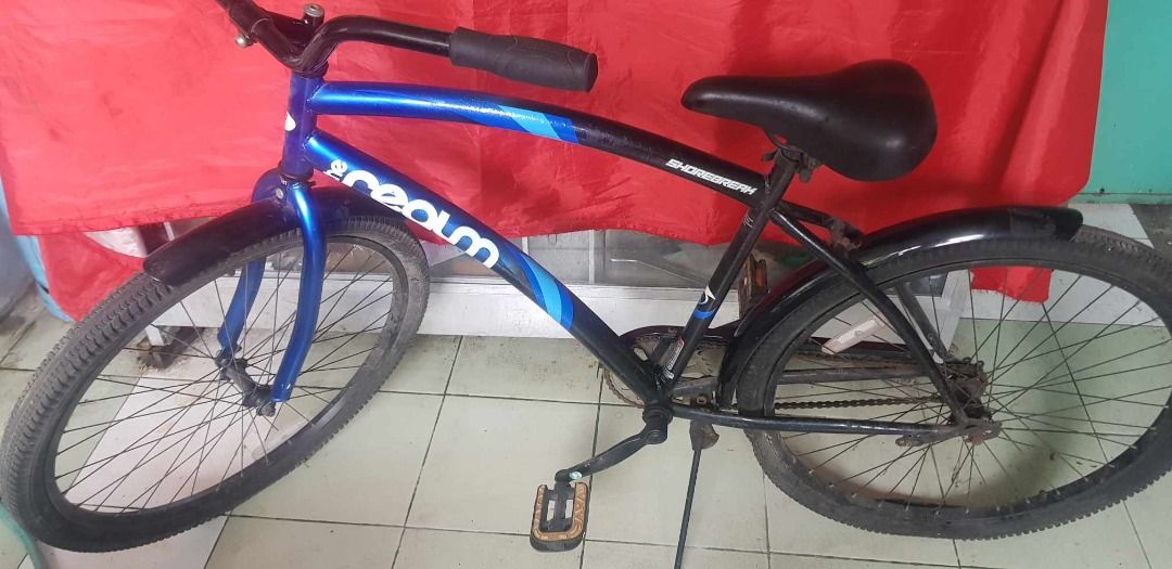 The realm best sale cruiser bike
