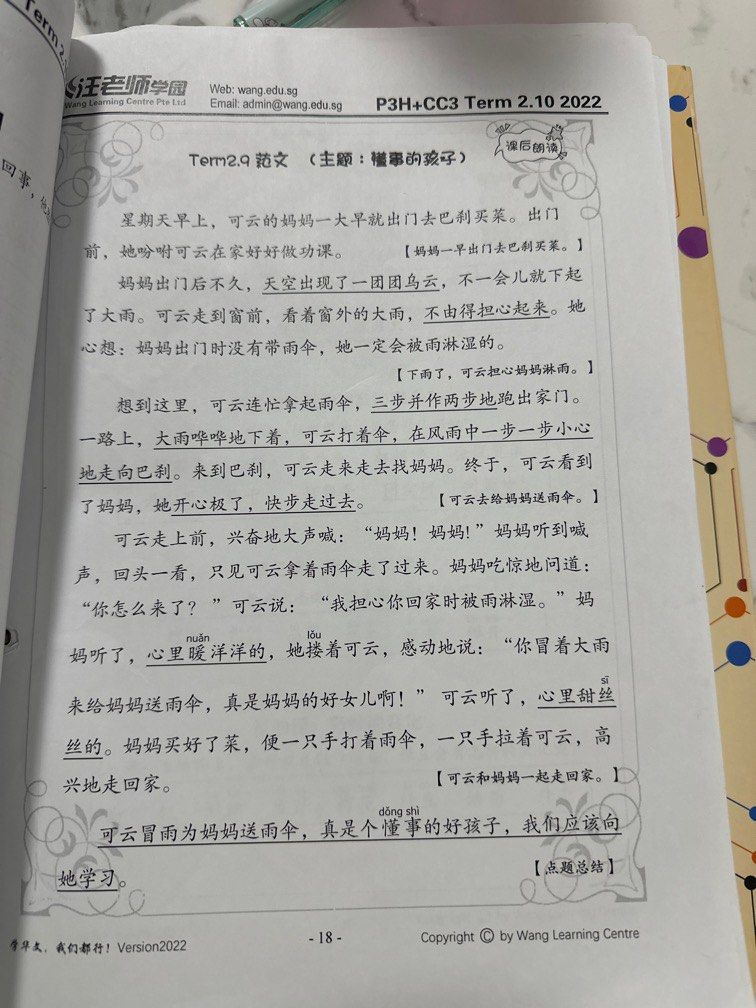 P3 Notes Wang Learning Center P3 notes for compositions and oral, Hobbies & Toys ...