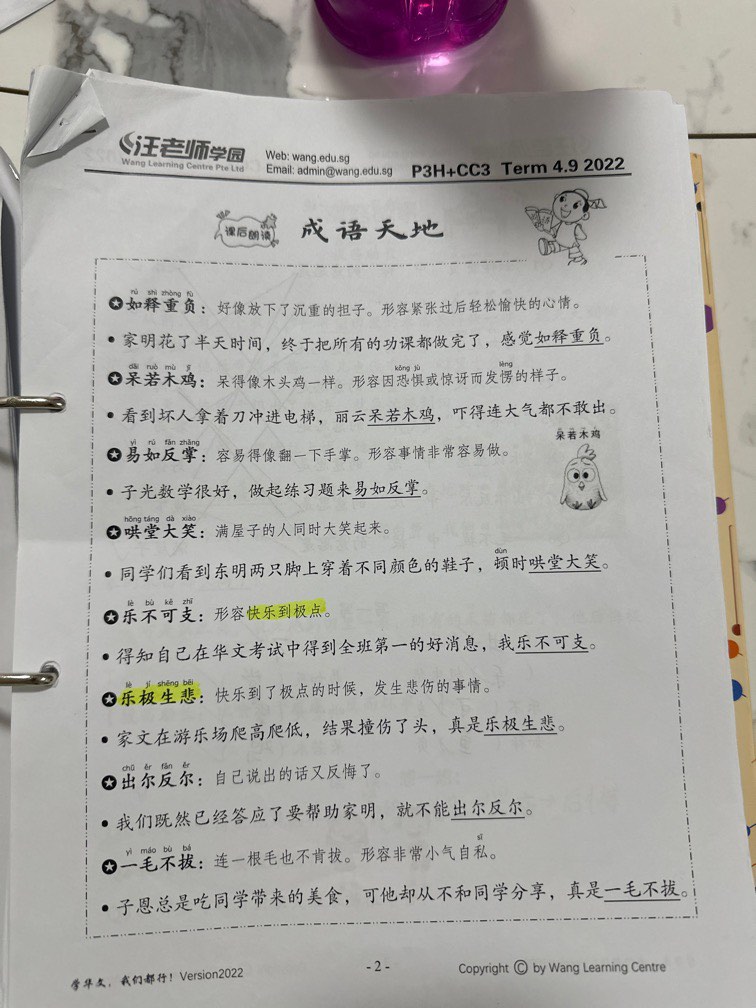 P3 Notes Wang Learning Center P3 notes for compositions and oral, Hobbies & Toys ...