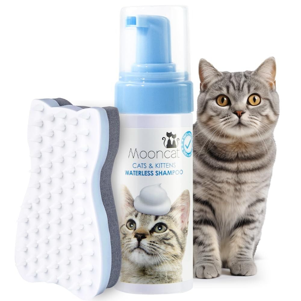 Homemade dry shampoo for cats top
