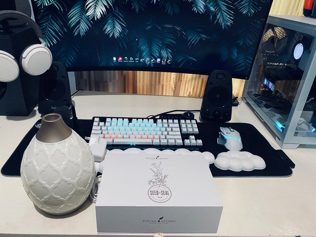 Letgo Diffuser YOUNG LIVINGS PREMIUM STARTER KIT WITH DESERT MIST DIFFUSER, Beauty ...
