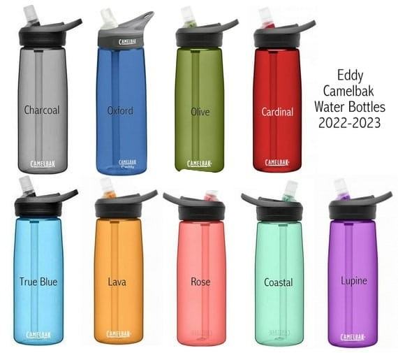 Camelbak EDDY Bottle - REPLACEMENT BITE VALVE MULTI PACK, Furniture & Home  Living, Kitchenware & Tableware, Water Bottles & Tumblers on Carousell