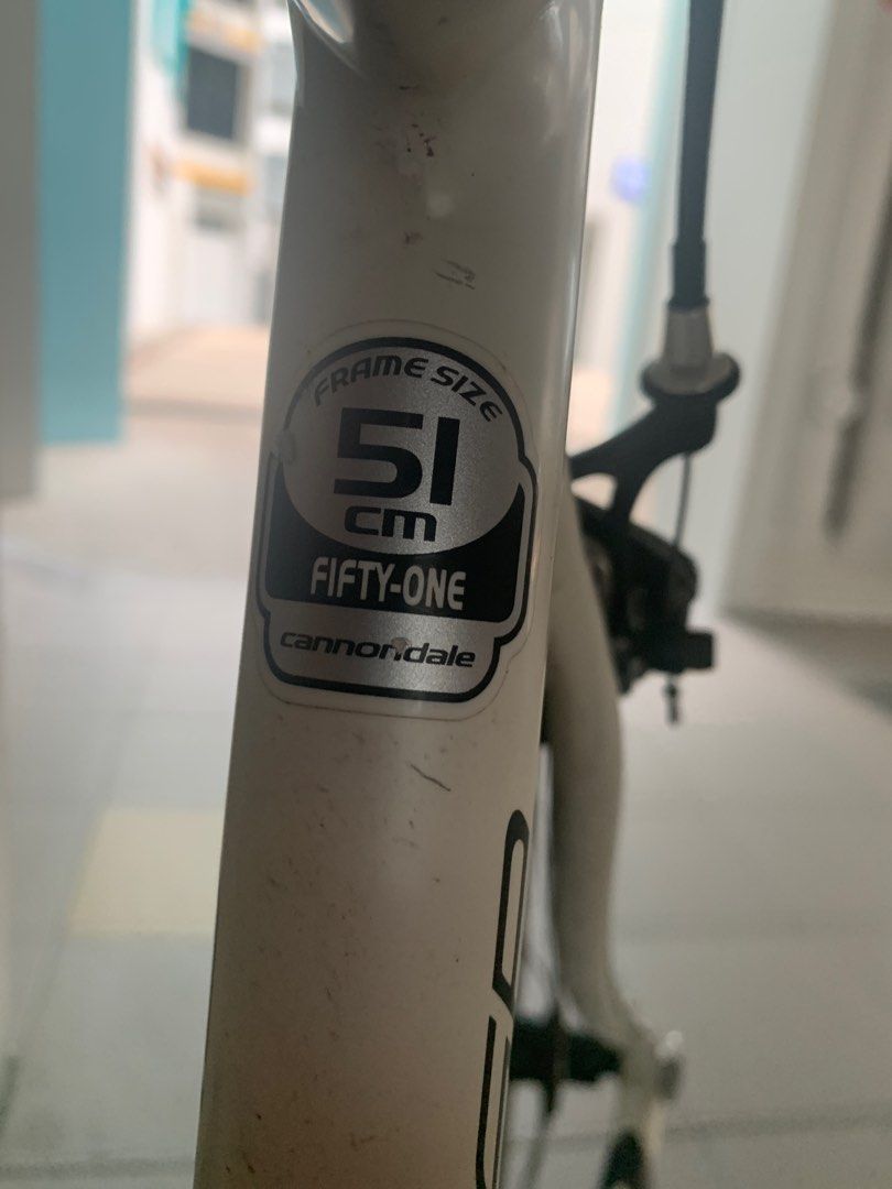 cannondale synapse flat bar 2019